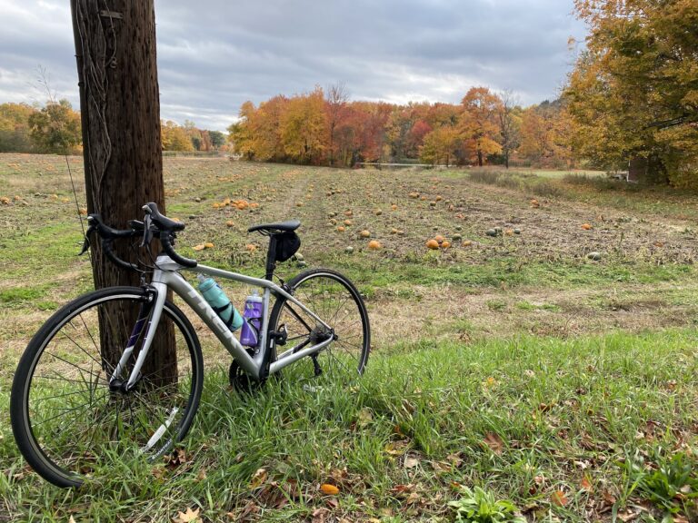 Bike and pumpkins